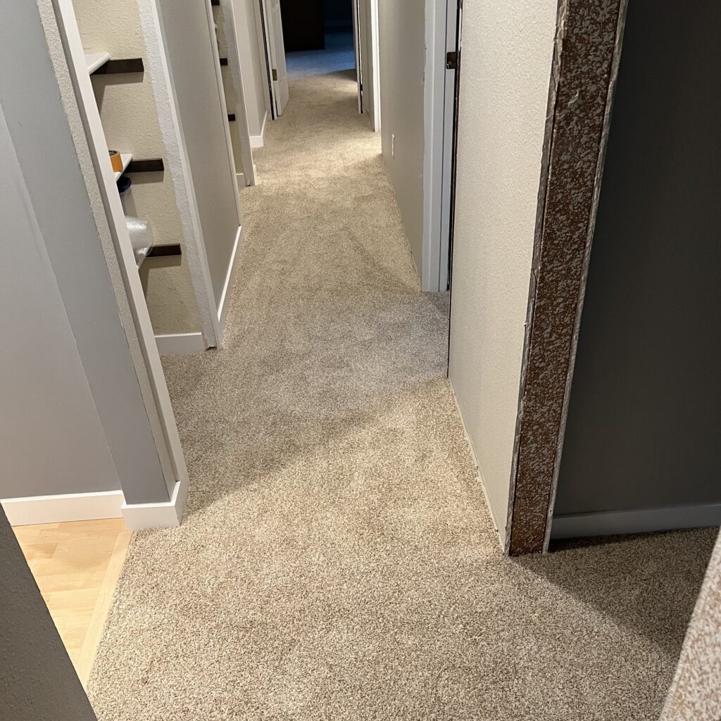 Carpet on the hall. Carpet options.